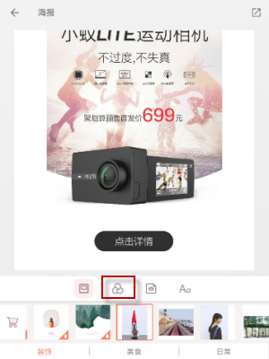 教给小猫一些可爱的动作